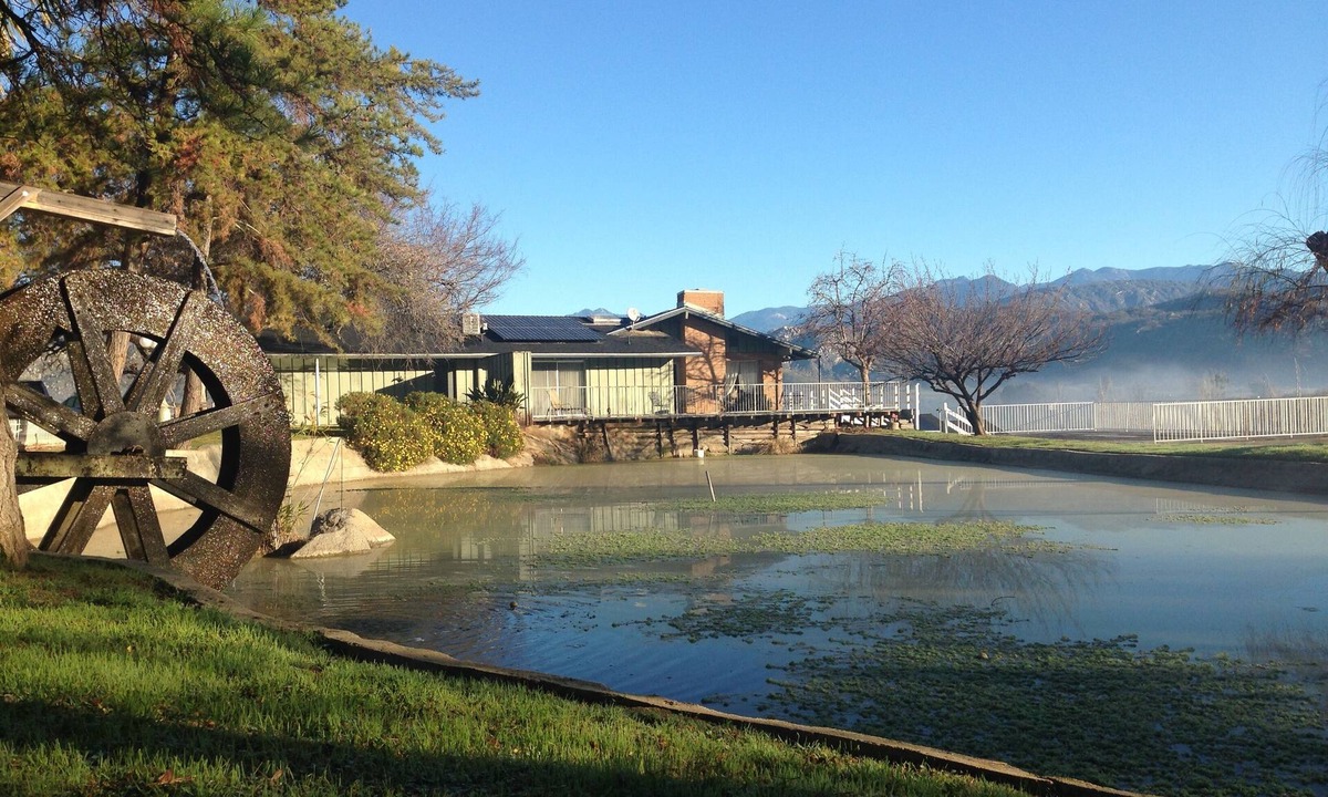 Springville House | 12 acre Ranch with Pickle Ball with lights, Pool, Jacuzzi views and Cows