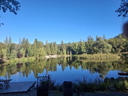 Mono Vista House | 1BR Dog-Friendly Lakefront Cabin w/Canoes