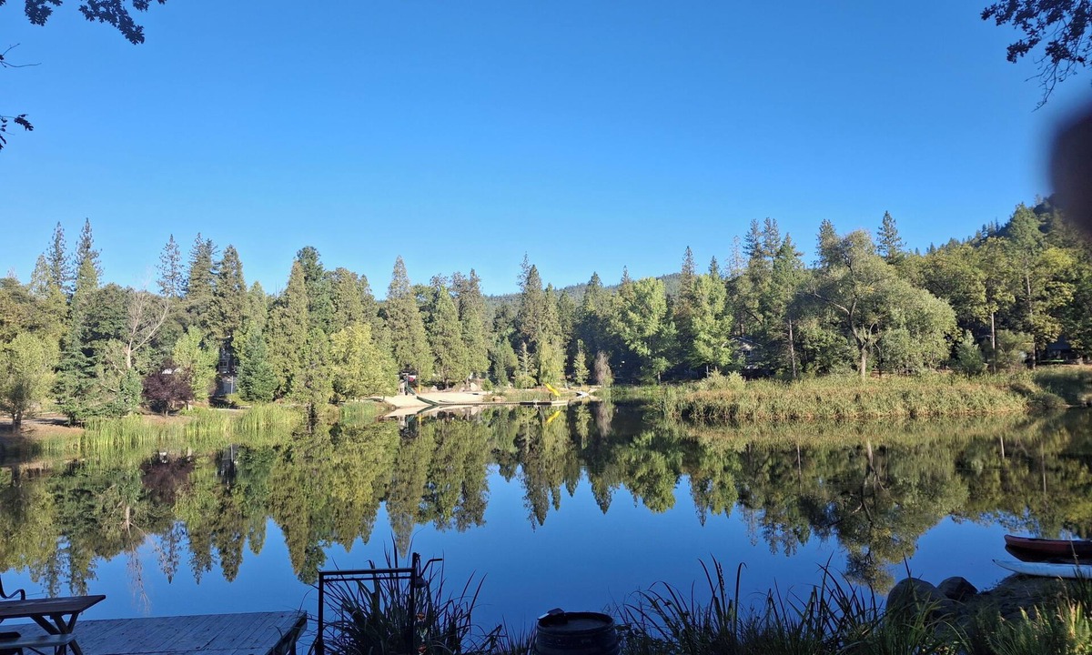 Mono Vista House | 1BR Dog-Friendly Lakefront Cabin w/Canoes