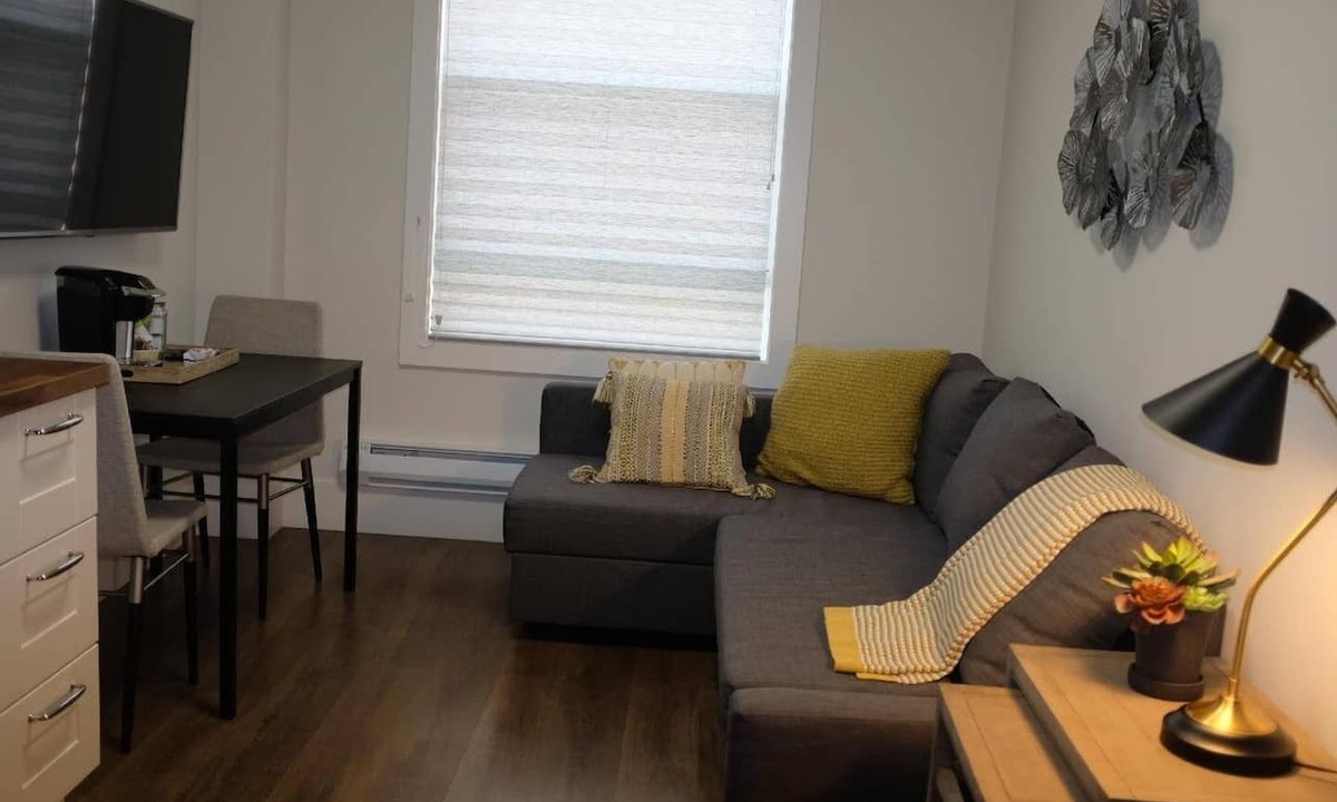 Downtown San Jose Apartment | 312-1 Bedroom Apt in San Jose. Pedestrian's Dream!
