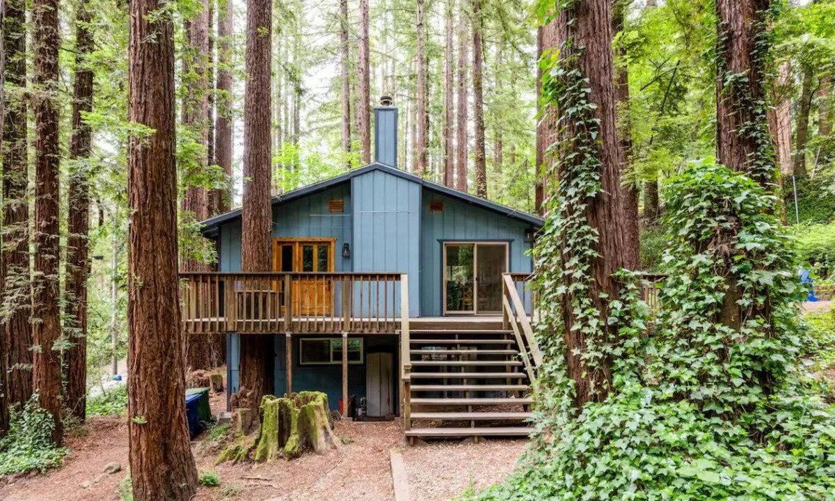 Mount Hermon House | Adventure house under the redwoods, with spa!