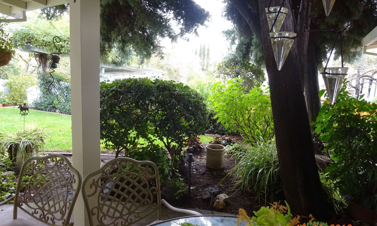 Alamo Cottage | Alamo Guesthouse Private and Secluded. Country living next to the city life.