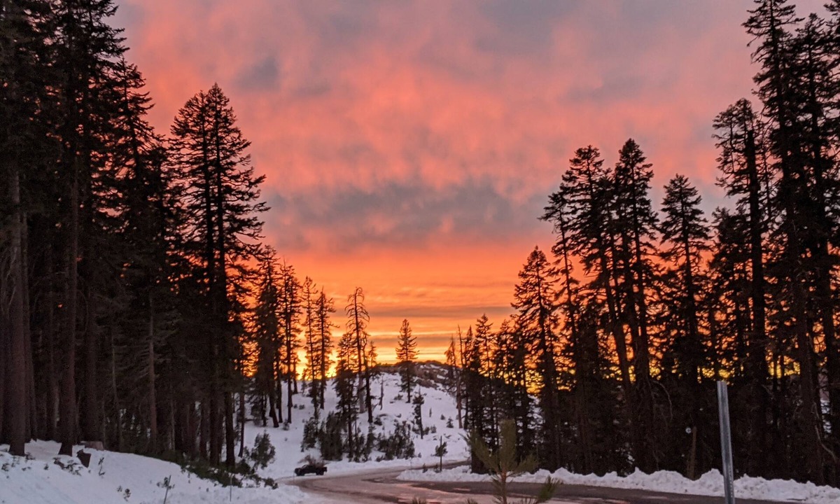 Arnold Ski Chalet | Beautiful Cabin Nestled in Trees (Dogs welcome)