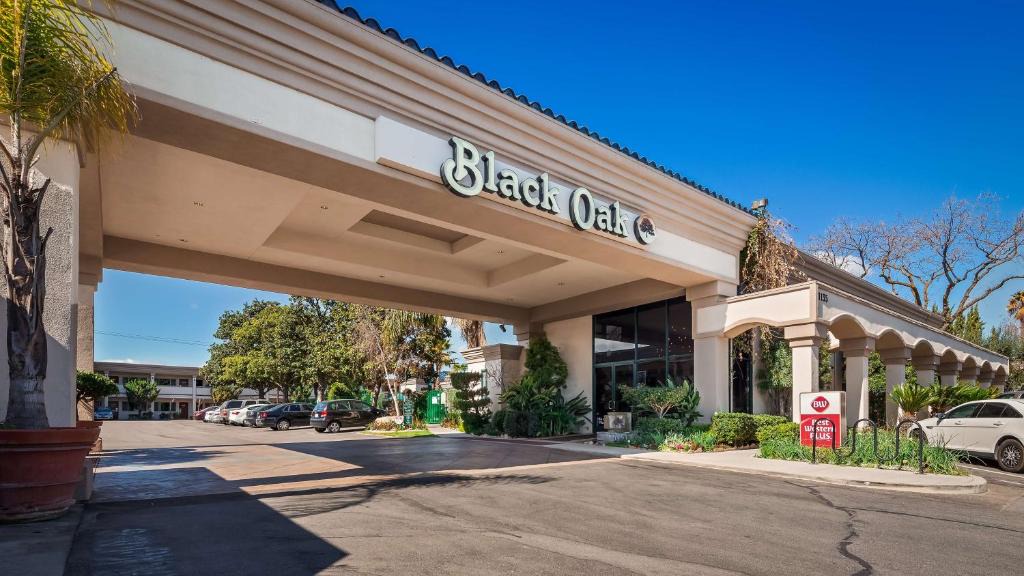 Paso Robles Hotel | Best Western Plus Black Oak