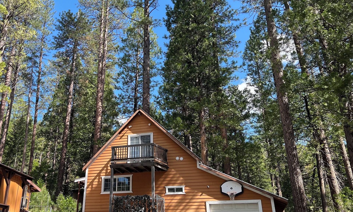 Kyburz Cabin | Cabin surrounded of beautiful nature for creating memories w/family or friends.