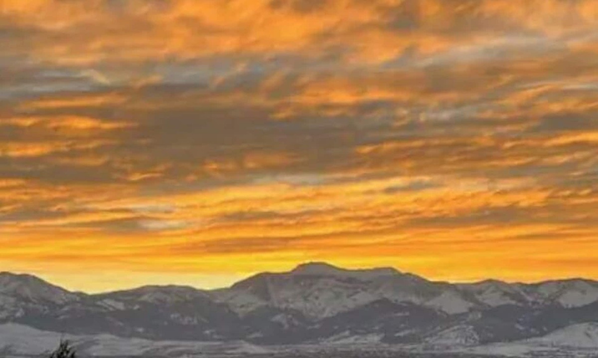 Reno Apartment | Casa Reno, Wild Horses Included