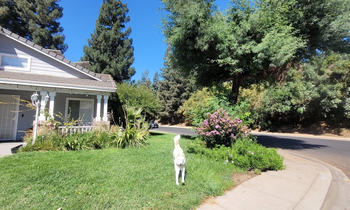 Riverbank House | Charming 3-bedroom house in beautiful RiverBank with AC