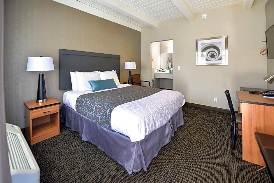 Downtown San Francisco Hotel | City Center Inn & Suites
