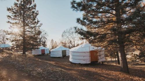Dunlap House | Cosy yurt at a nature retreat