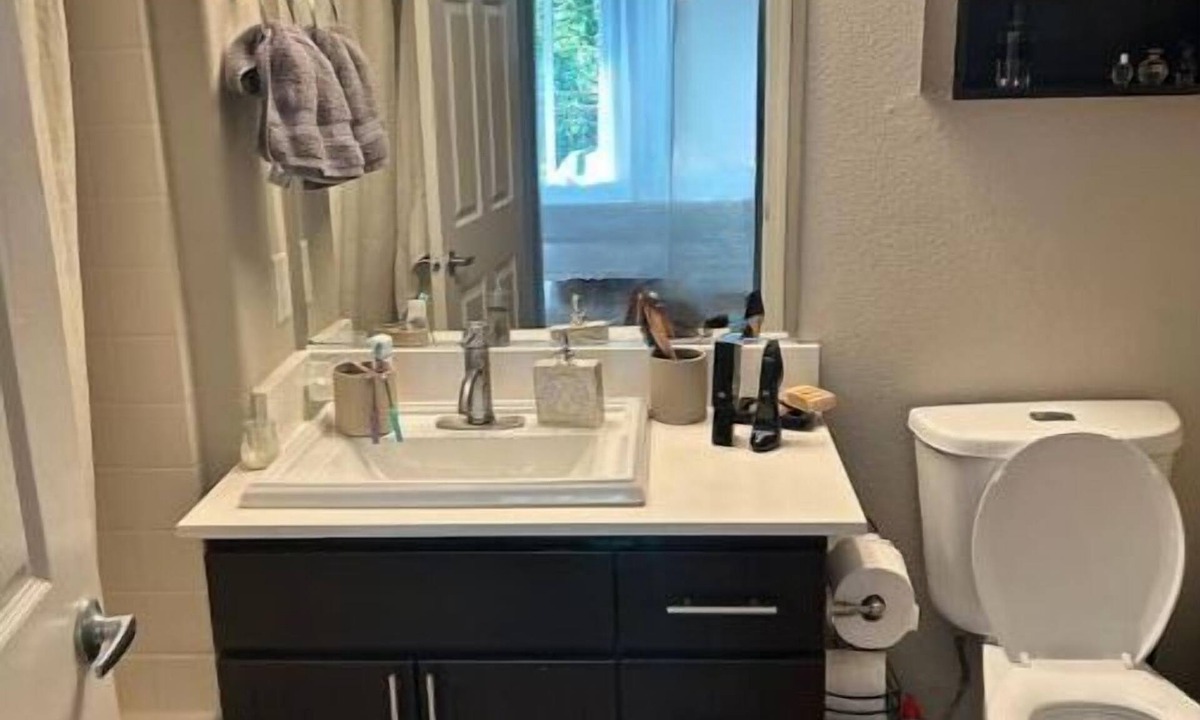 Walnut Creek Apartment | Cozy Downtown Walnut Creek Apt