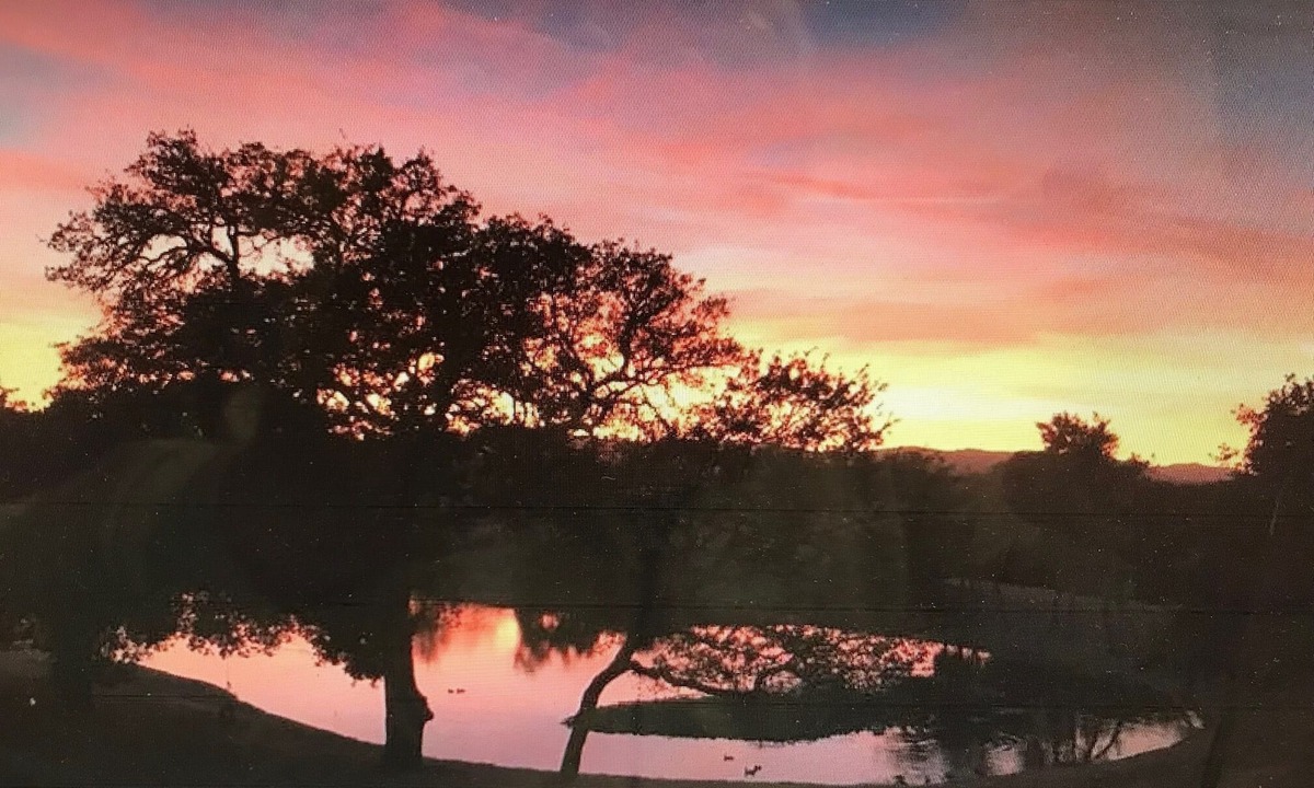 Paso Robles Cottage | Darling Cottage on the edge of a private lake ~ only 5 minutes from town