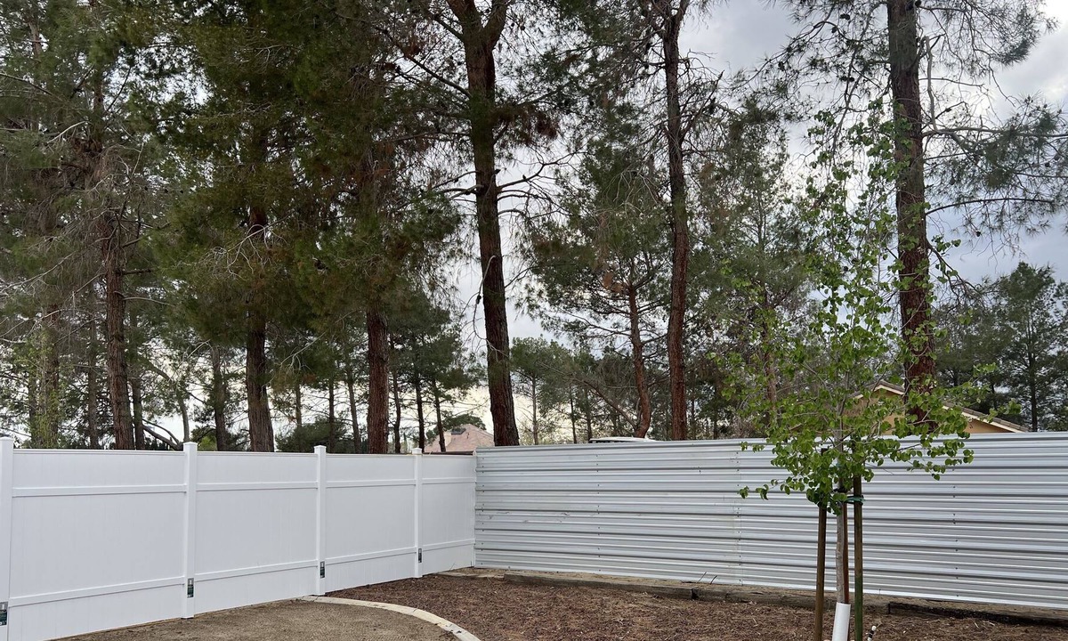 Lancaster House | Escape to Desert Serenity: Quiet Home Amongst Trees and Open Desert in Lancaster