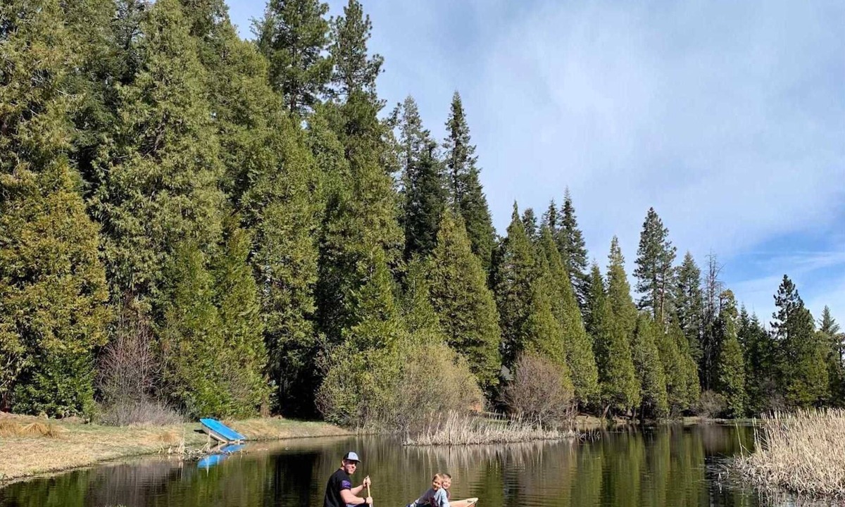 Sierra Cedars Cabin | Explore and Unwind! Large Deck & EV Charger