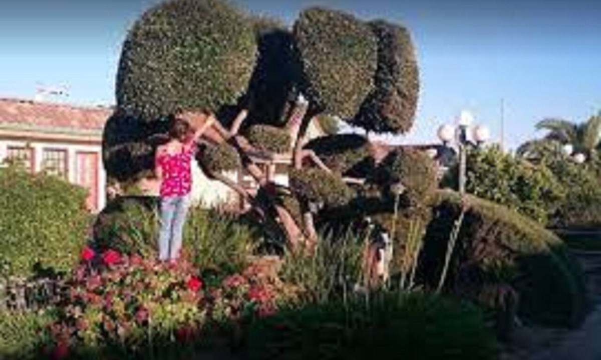 Merced Hotel | FairBridge Inn & Suites Merced/Gateway to Yosemite