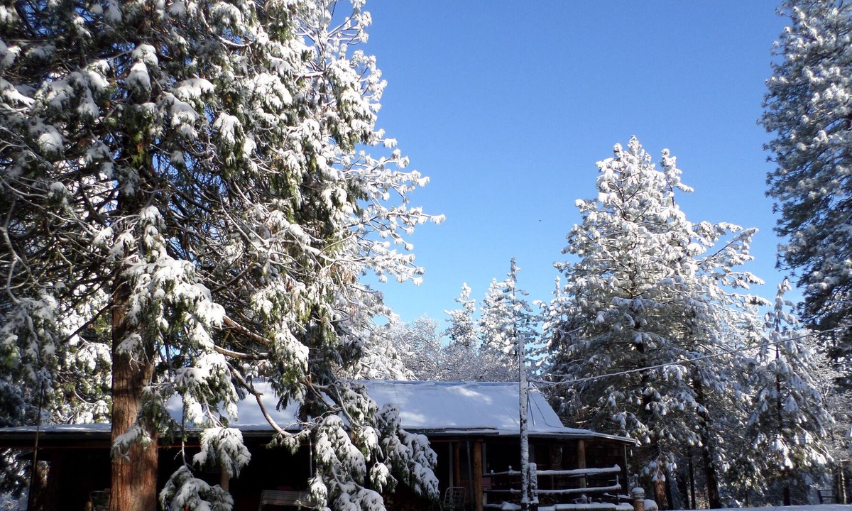 Pinehurst Cabin | Family friendly house (cabin) 20 minutes from Kings Canyon, pets welcome!