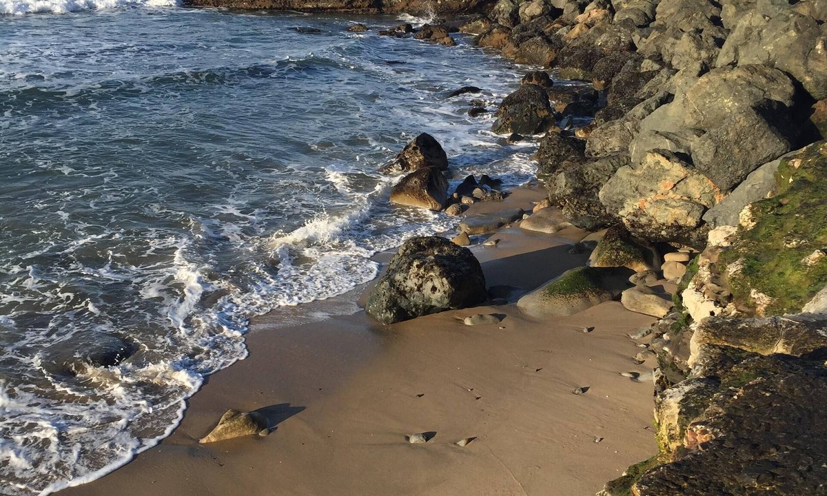Westside Santa Cruz House | Fantastic Location, steps to ocean, clean comfortable house.