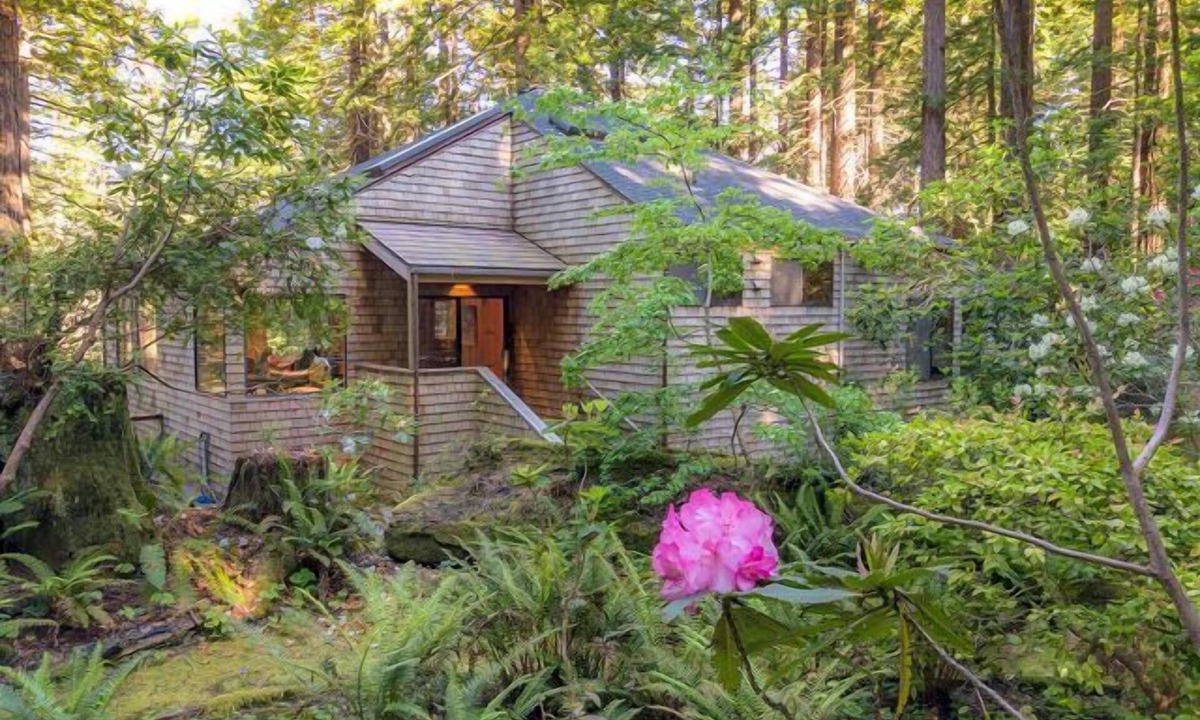 Sea Ranch House | Forest House: 2 BR, 3 BA House in The Sea Ranch, Sleeps 4