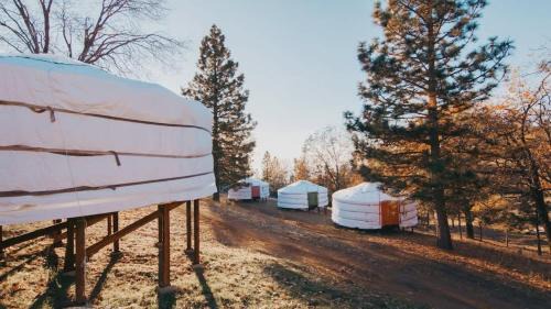 Dunlap House | Glamping yurt at nature retreat in Sequoia NForest