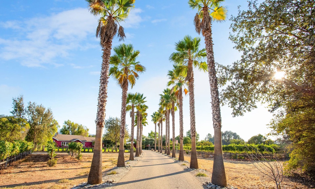 Santa Ynez House | Huge ranch house with pool on 10 acres with vineyards!
