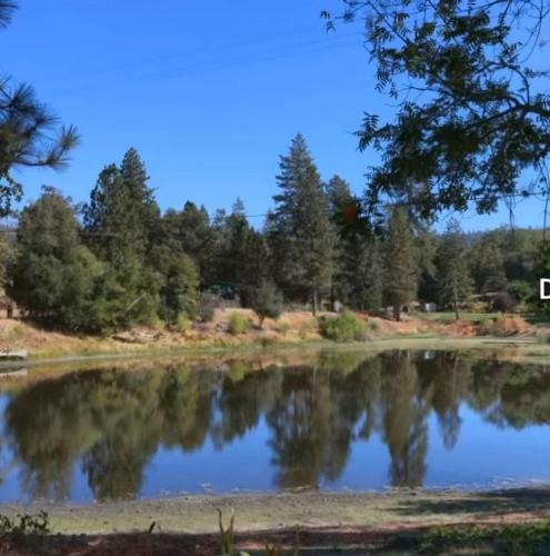 Oakhurst House | La Dolce Villa Pond Retreat in Yosemite