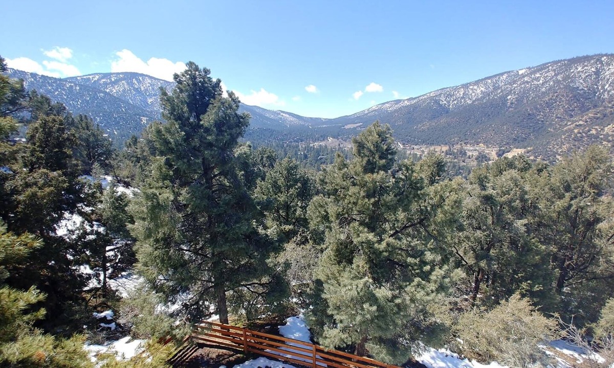 Pine Mountain Club Apartment | Large Lower Suite in Mountain View Home