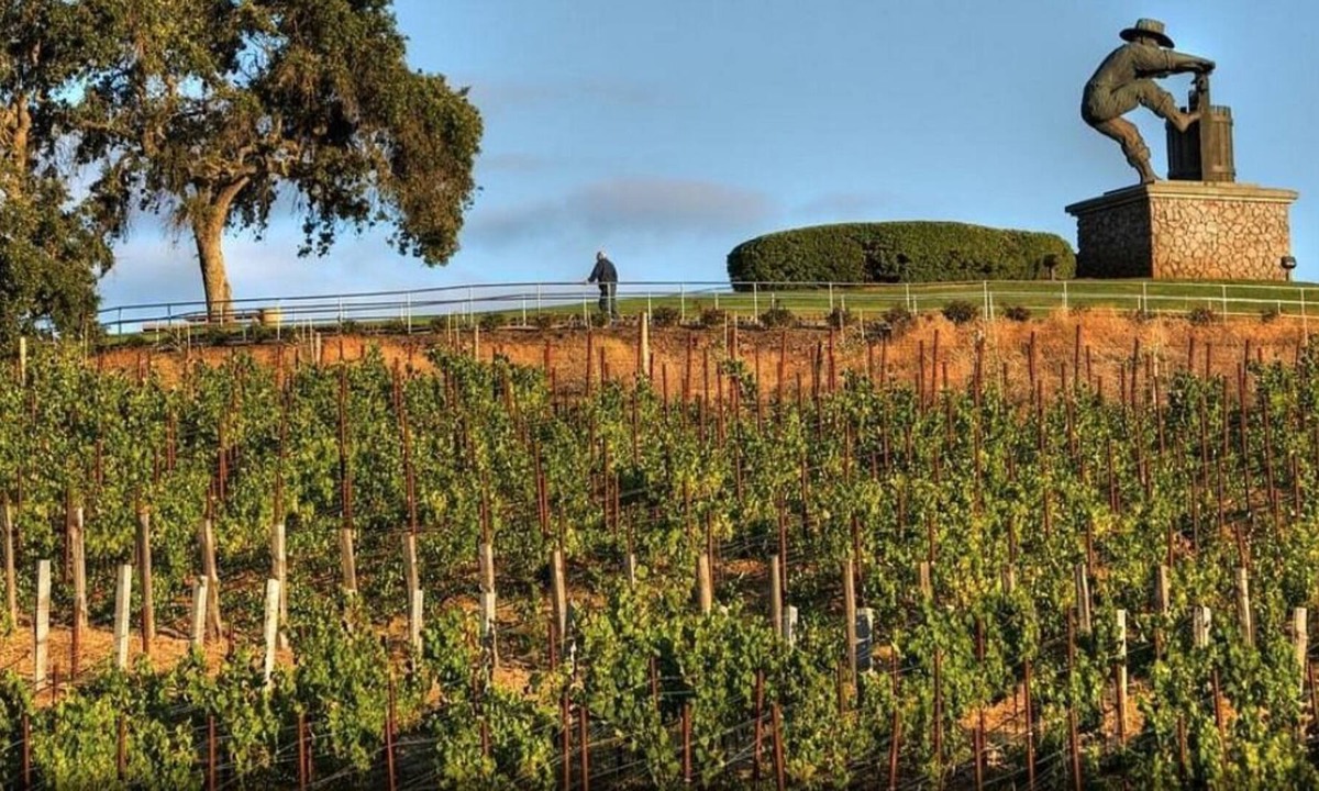 Napa Resort | Lovely Cozy Napa Suite Sleeps 4 (Last minute Stays 30+% OFF)