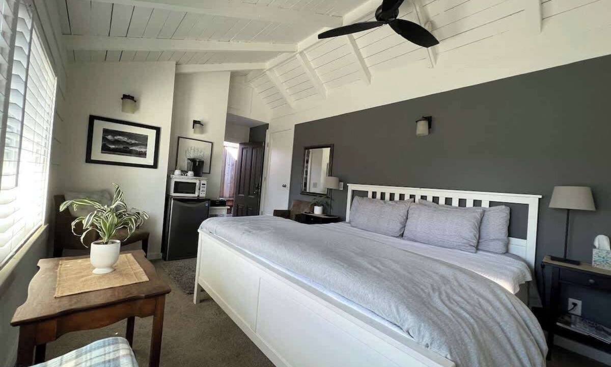Bananna Belt House | Midtown Cabana with Scenic Patio Private Entrance