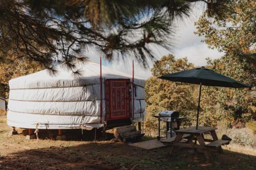 Dunlap House | Mongolian yurt at a nature retreat