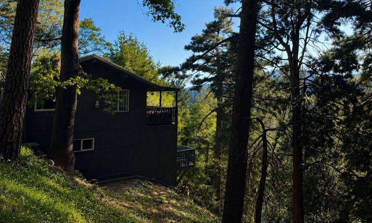 Cedarpines Park House | NEW to VRBO. 3Bed 2 En-suites Views + Wood burner, Deck, Garden & DISCO LOO