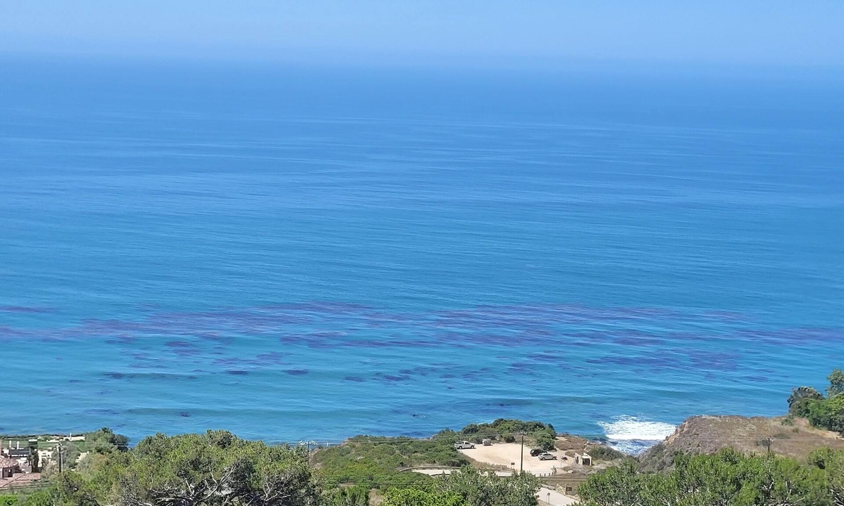 Western Malibu Cottage | Ocean Sunsets 1 bd Guesthouse Forever ocean views, short stroll to the sand