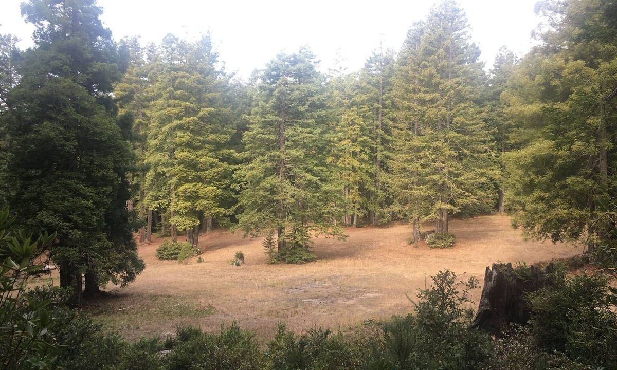Gualala Other | Private Beach + 10-acre meadow with creek, Dog-Friendly Nature lovers Paradise!