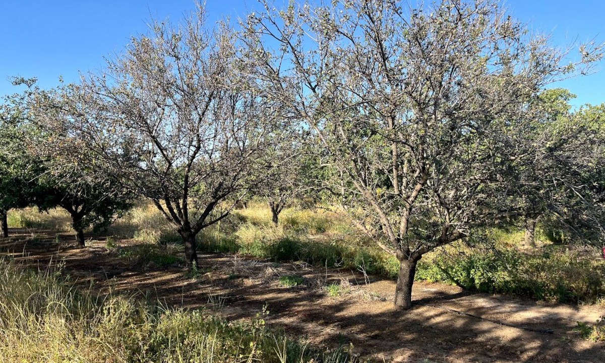 California House | Relax on 475 acre scenic ranch, 4-Bed/BR, Surrounded by Nature, 1.5hr -Yosemite.