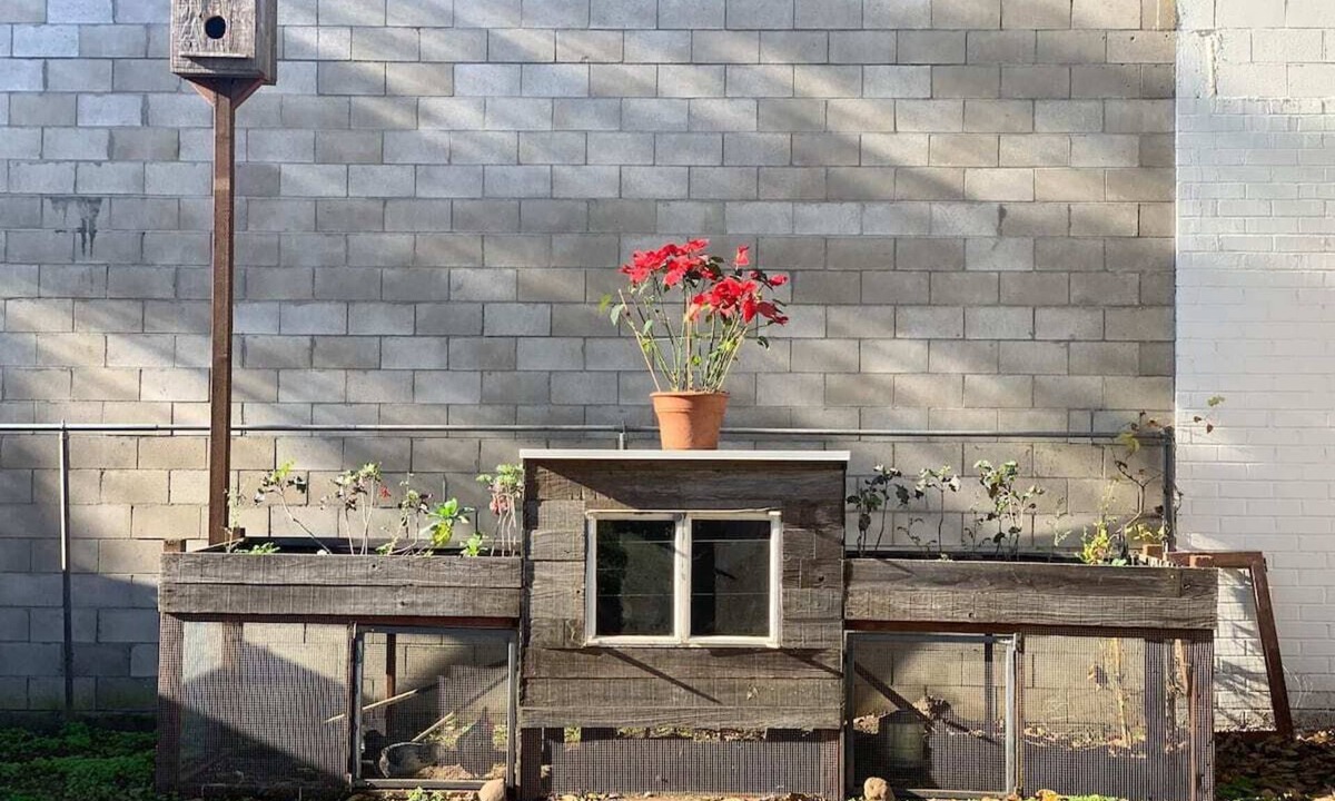 East Beach House | Remodeled 3/2 close to the Beach and Downtown !