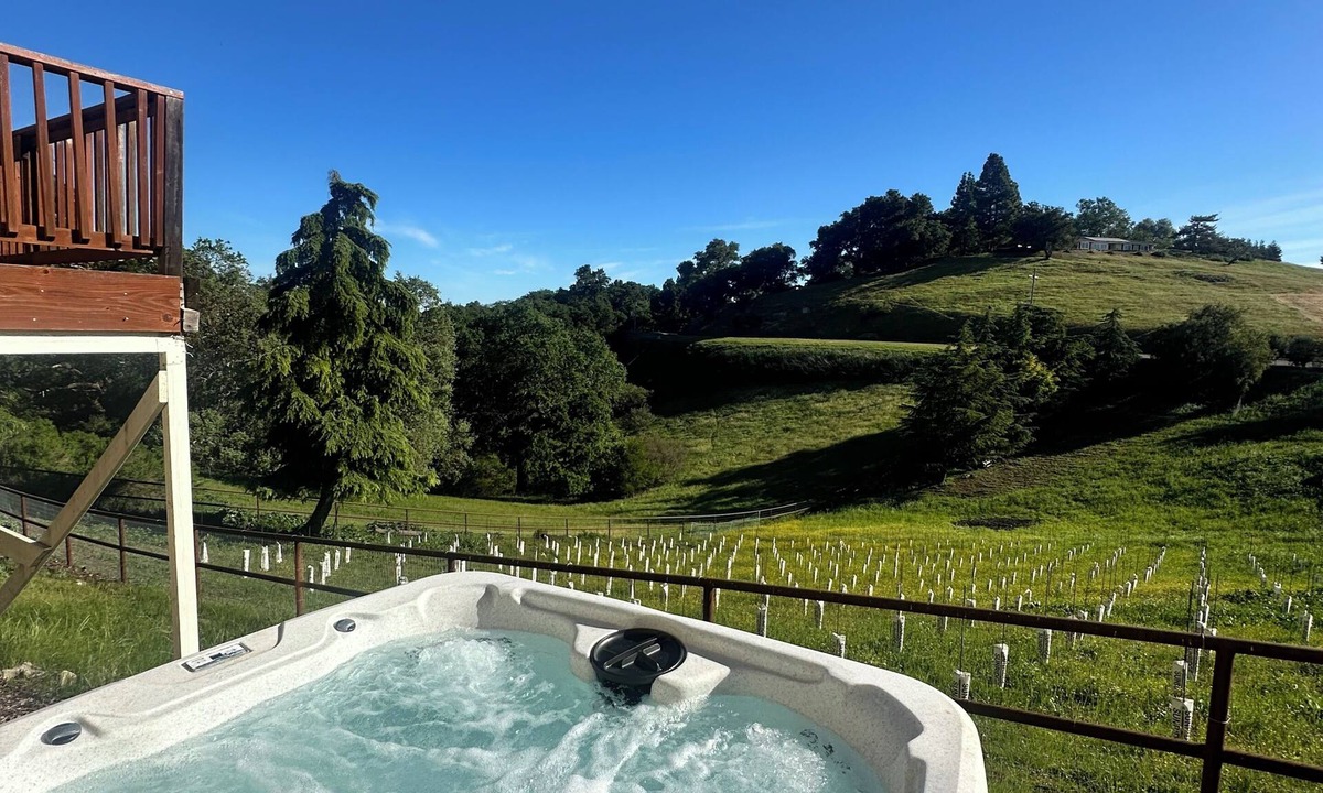 Atascadero House | Serendipity Luxury Retreat - Vineyard! Private Hot Tub! Dogs Welcome!