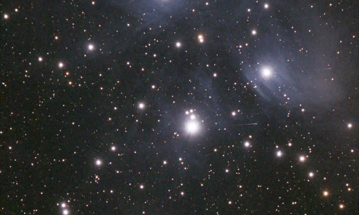 Dunlap Apartment | Sky Pod #2/Tree Tent 2