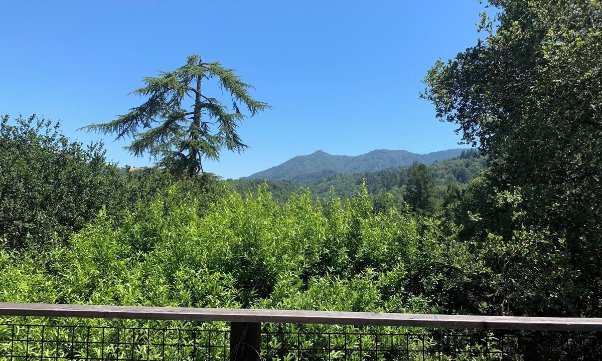 Fairfax House | Spacious home with epic views in mountain bike and live music paradise
