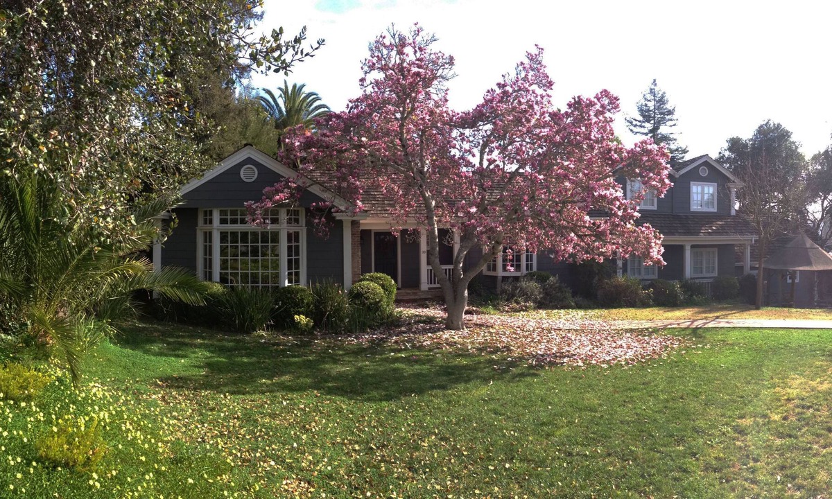 San Rafael House | Sunny, Sprawling Estate 25 Minutes From SF and Wine Country, Outdoor Life, Pool