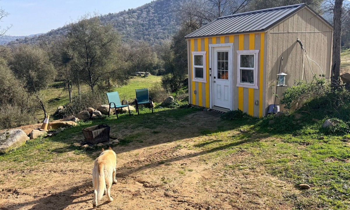 Squaw Valley Cabin | The Birdhouse Tiny Shabin Cabin