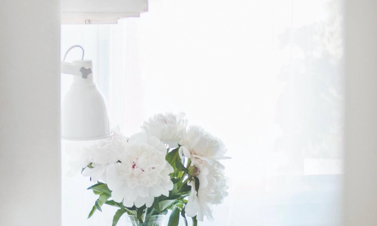 Beach Hill - Beach Flats Bed & Breakfast | The Boardwalk Beach House Bed & Breakfast