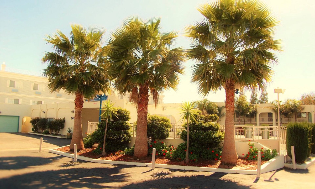 Los Banos Hotel | Travelodge by Wyndham Los Banos CA