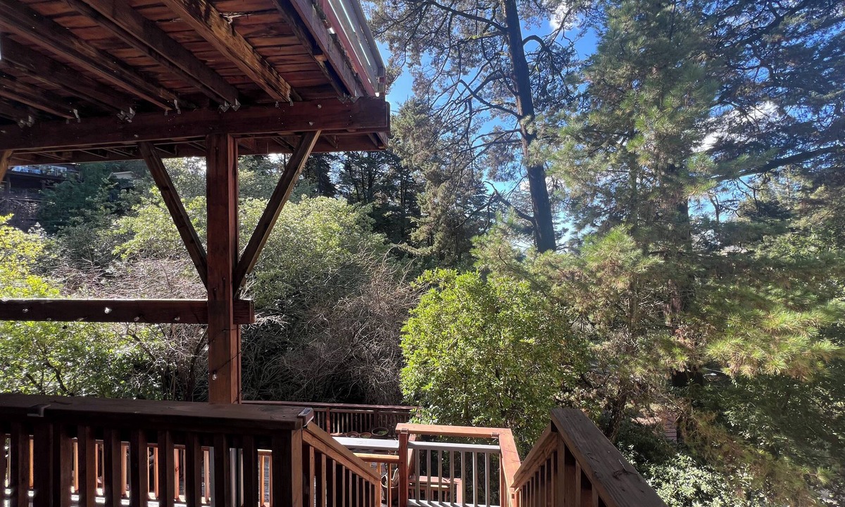 Piedmont Pines Apartment | Treetop Refuge in Oakland Hills