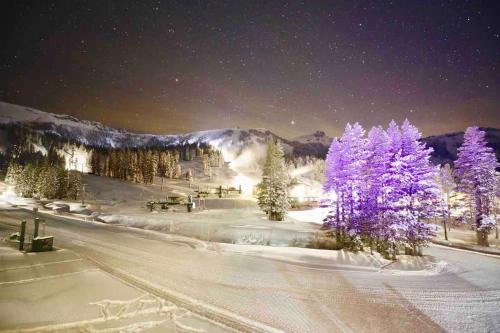 Kirkwood House | True Ski in out Large 2 bdrm Mtn Views 4 beds