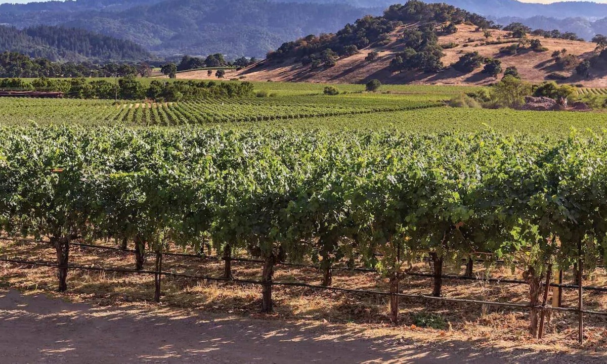 Napa Resort | Vino Bello Resort at the Gateway to Napa & Sonoma - King Bdrm, Sleeps 4