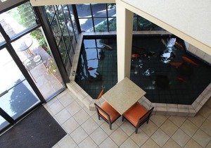 Best Western De Anza Inn