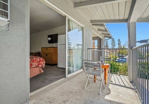 (Cozy studio, 1BED, 1BA, No kitchen)