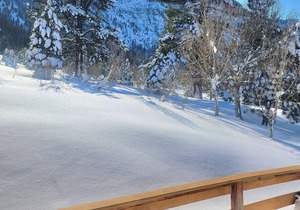 Four Seasons Cabin 1 with enchanting forest views