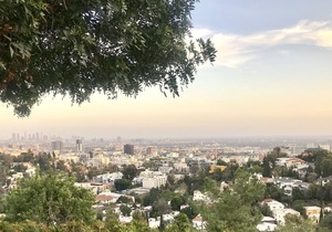 Hollywood Hills - Modern Retreat