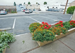San Carlos Inn in San Carlos