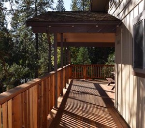 Sequoia 