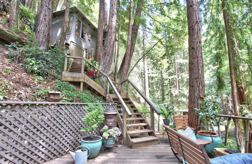 Carmel Cabin | 12 Miles South of Carmel in a Redwood Canyon! Perfect getaway in Big Sur!